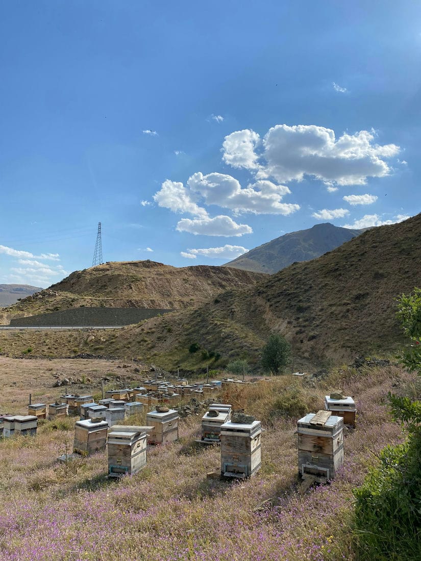 15cd989c-7c55-4561-92d9-615dce33a9c0