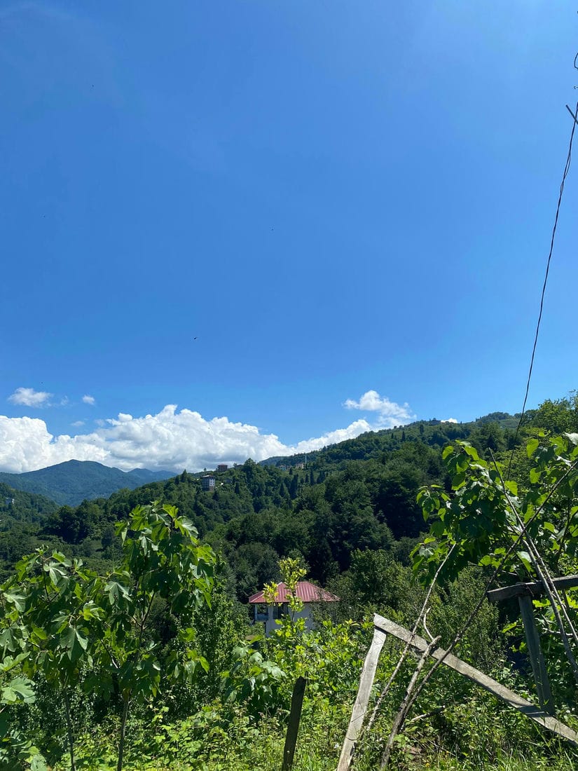 1e1b4514-a588-4e31-a9a4-cd14c63f4eae