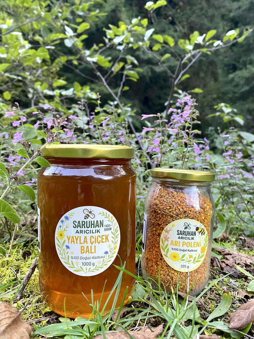 9d707168-c304-48fc-a849-7d295652618d